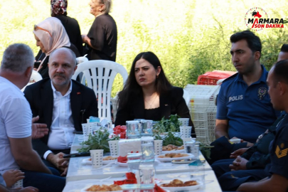 Marmara Adası'nda ilk Stevia hasadı yapıldı